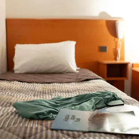 Hotel Compostelle Lourdes